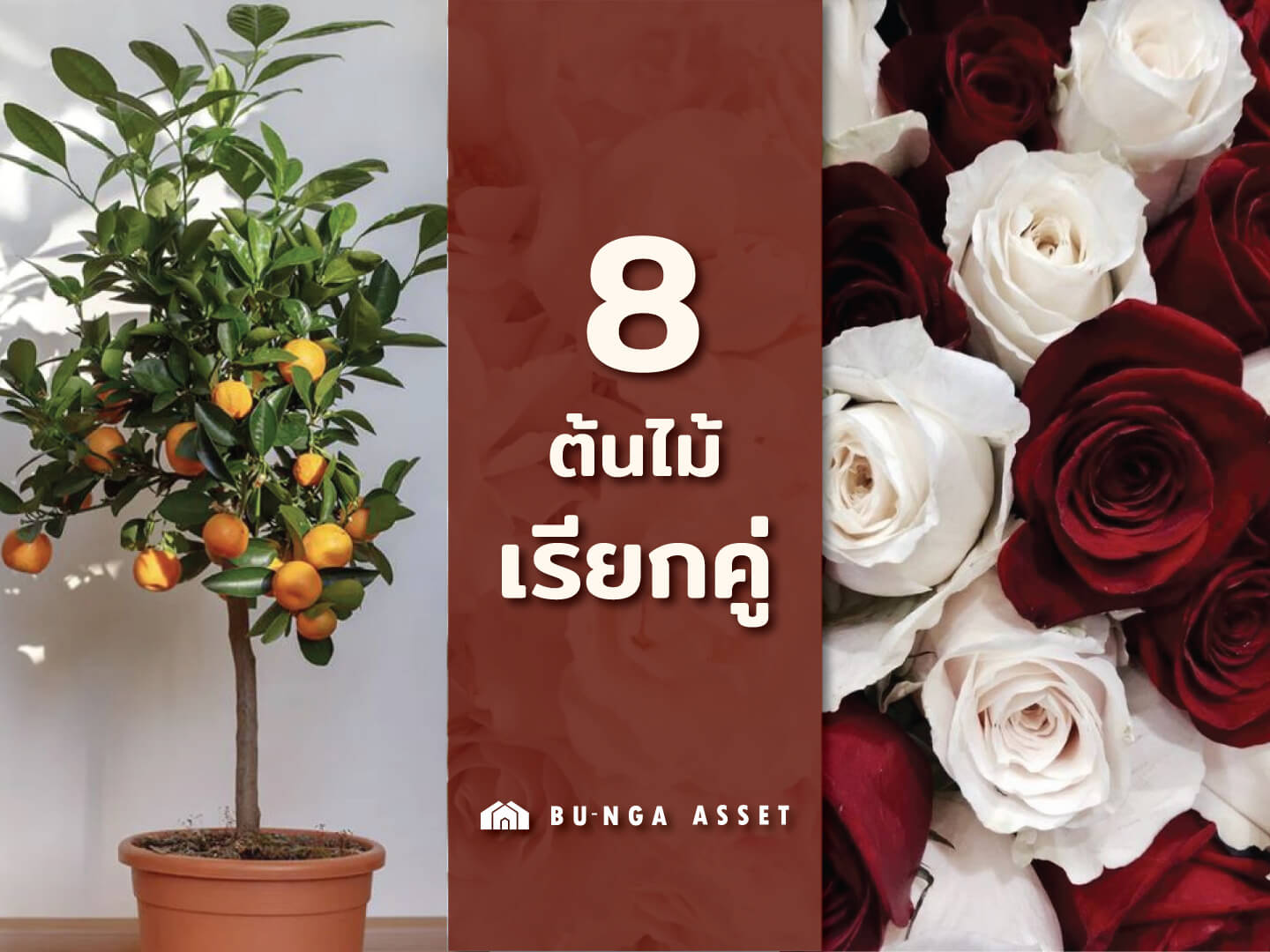 ต้นไม้เสริมความรัก
