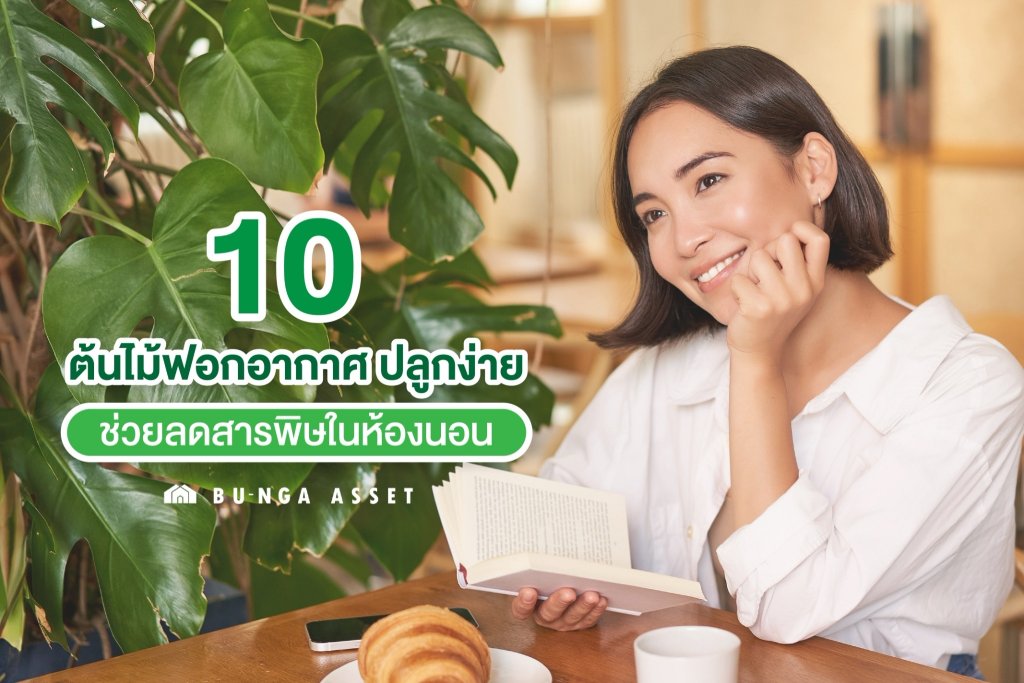 10 ต้นไม้ฟอกอากาศ